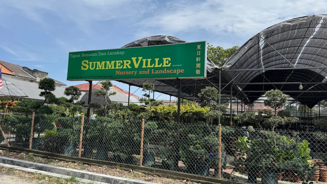 Summerville Nursery Main Branch